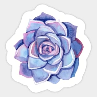 Hand painted purple watercolor succulent Sticker